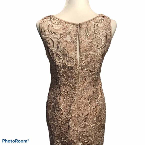 Adrianna Papell Lace Sheath Dress Size 8P - Picture 5 of 11
